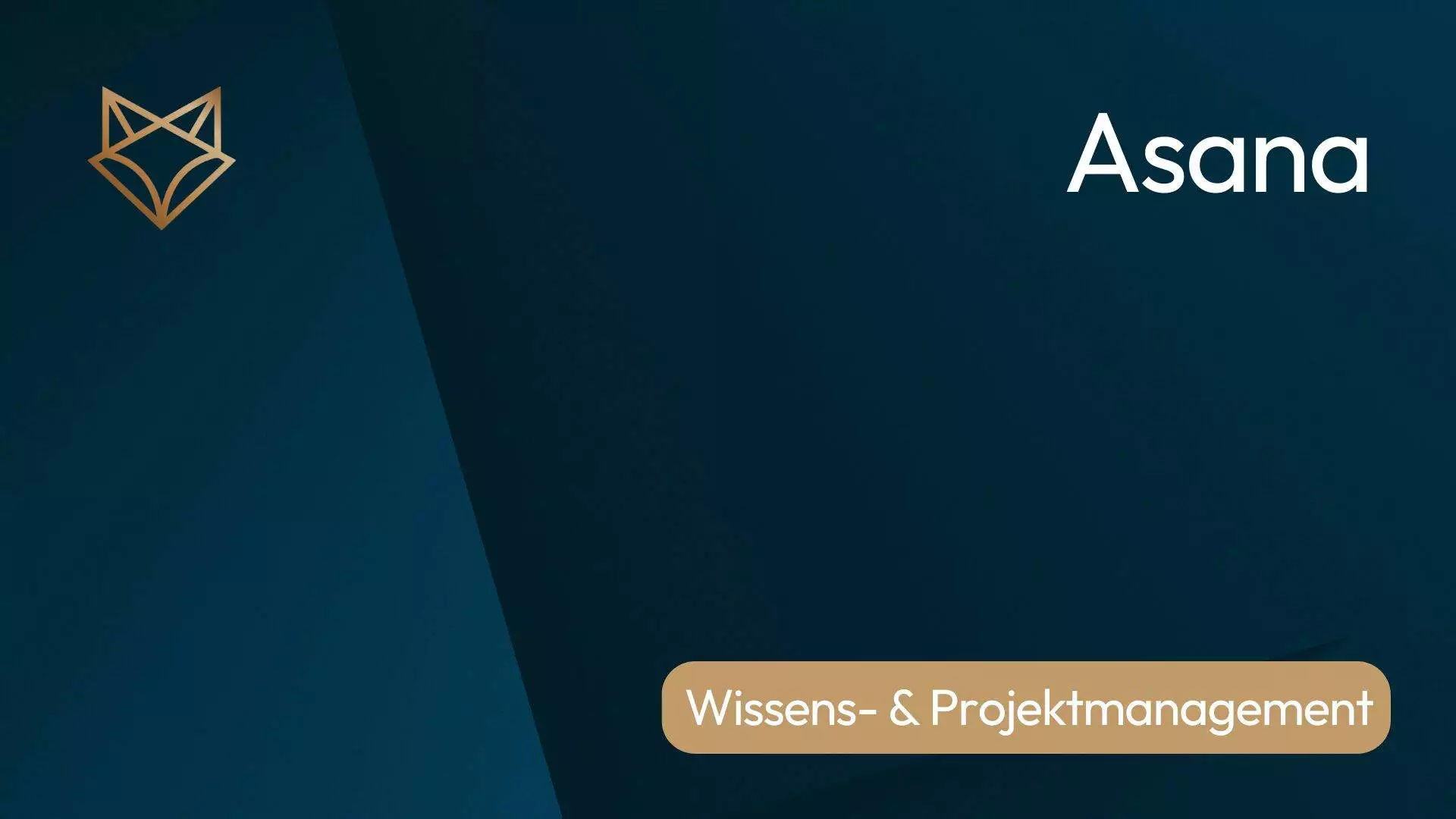 Projektmanagement mit Asana